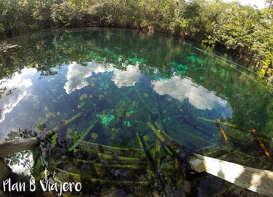 el SAYAB Planetario de Playa del Carmen